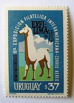 リャマ / ウルグアイ 1971