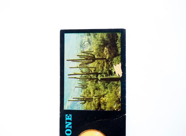 GEM STONE Lace Agate Mexico