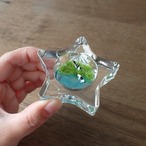 牧場のオブジェ・スター