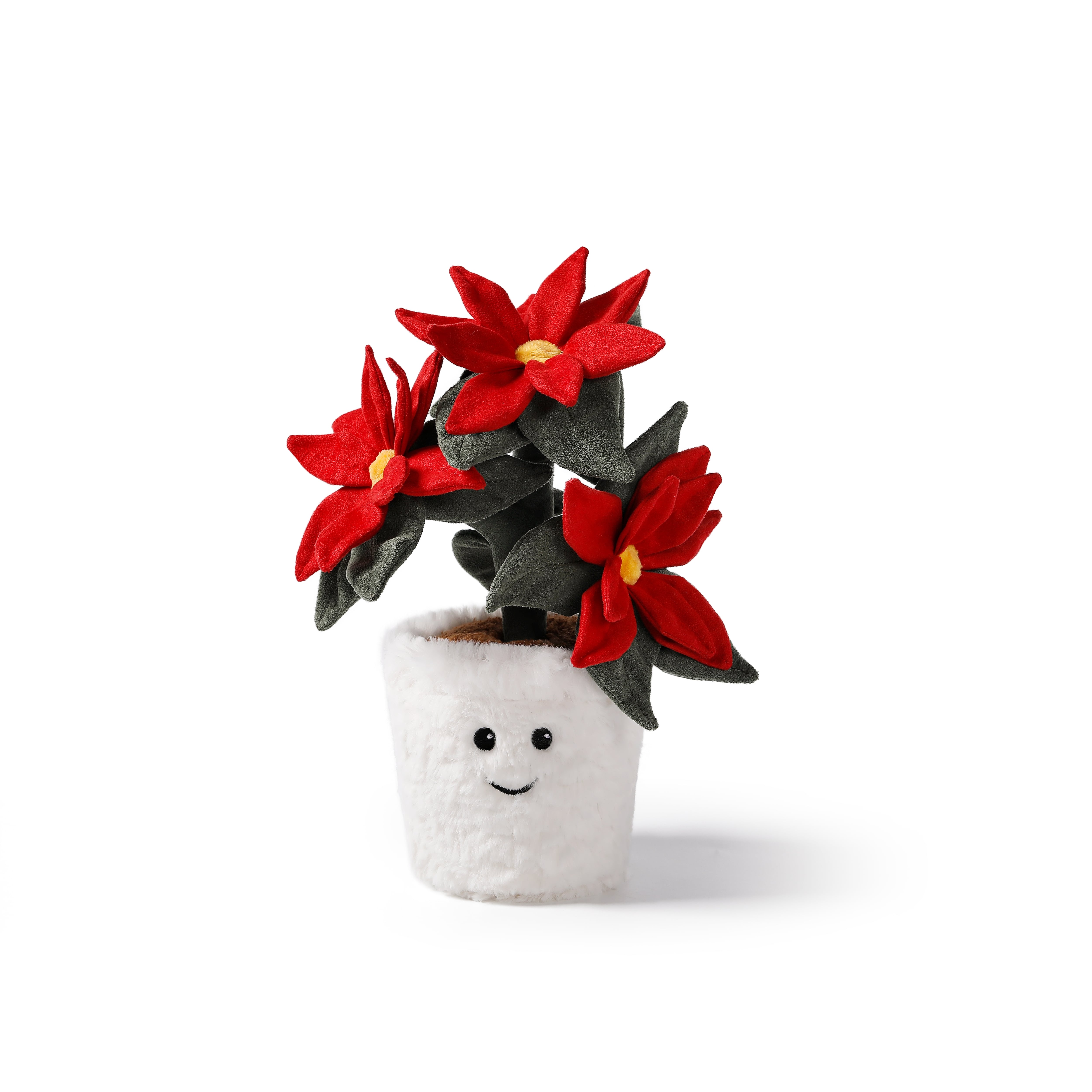 Joyful Poinsettia Bonsai_MC300310