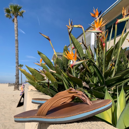 "Rainbow Sandals"Single Layer Classic Leather Tan/Blue