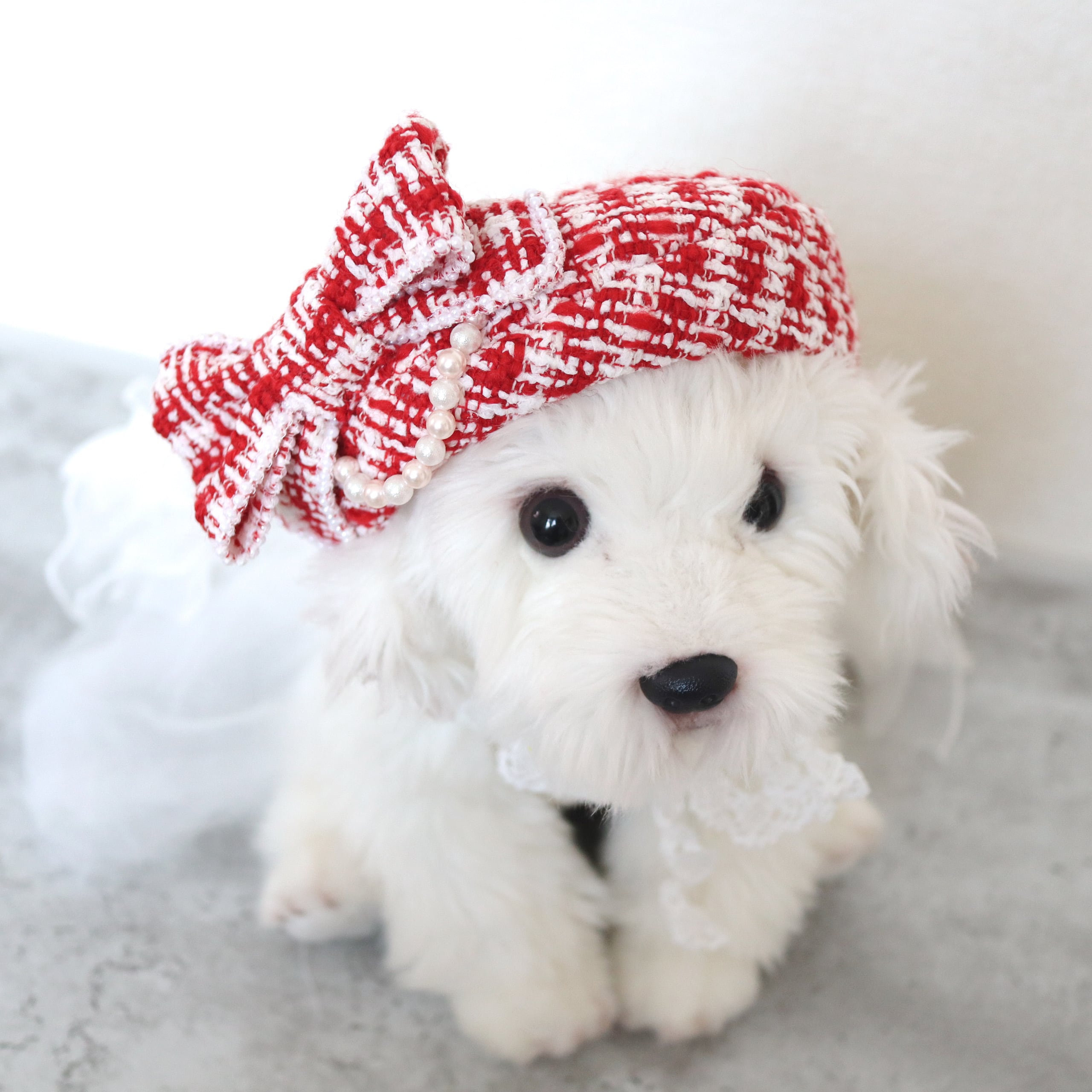 ツイードシックベレー帽・・・レッド | misacrown