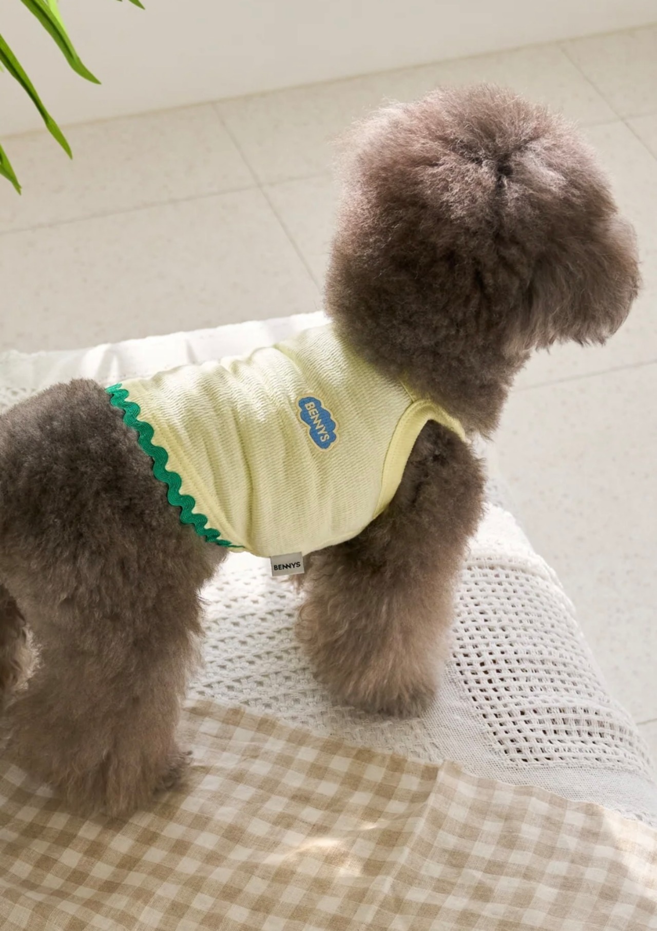 即納【BENNYS】 FREESIA CROP TOP (YELLOW)