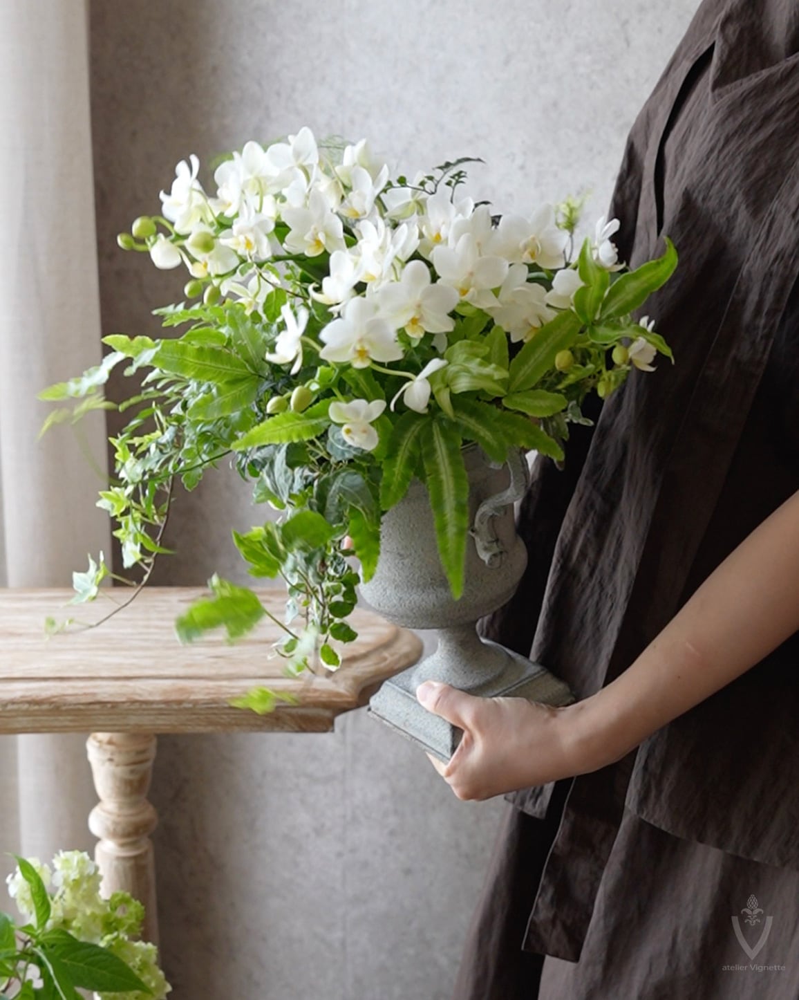 花苗セット】ミニ胡蝶蘭ナザレと観葉植物のミニ苗セット | アトリエ