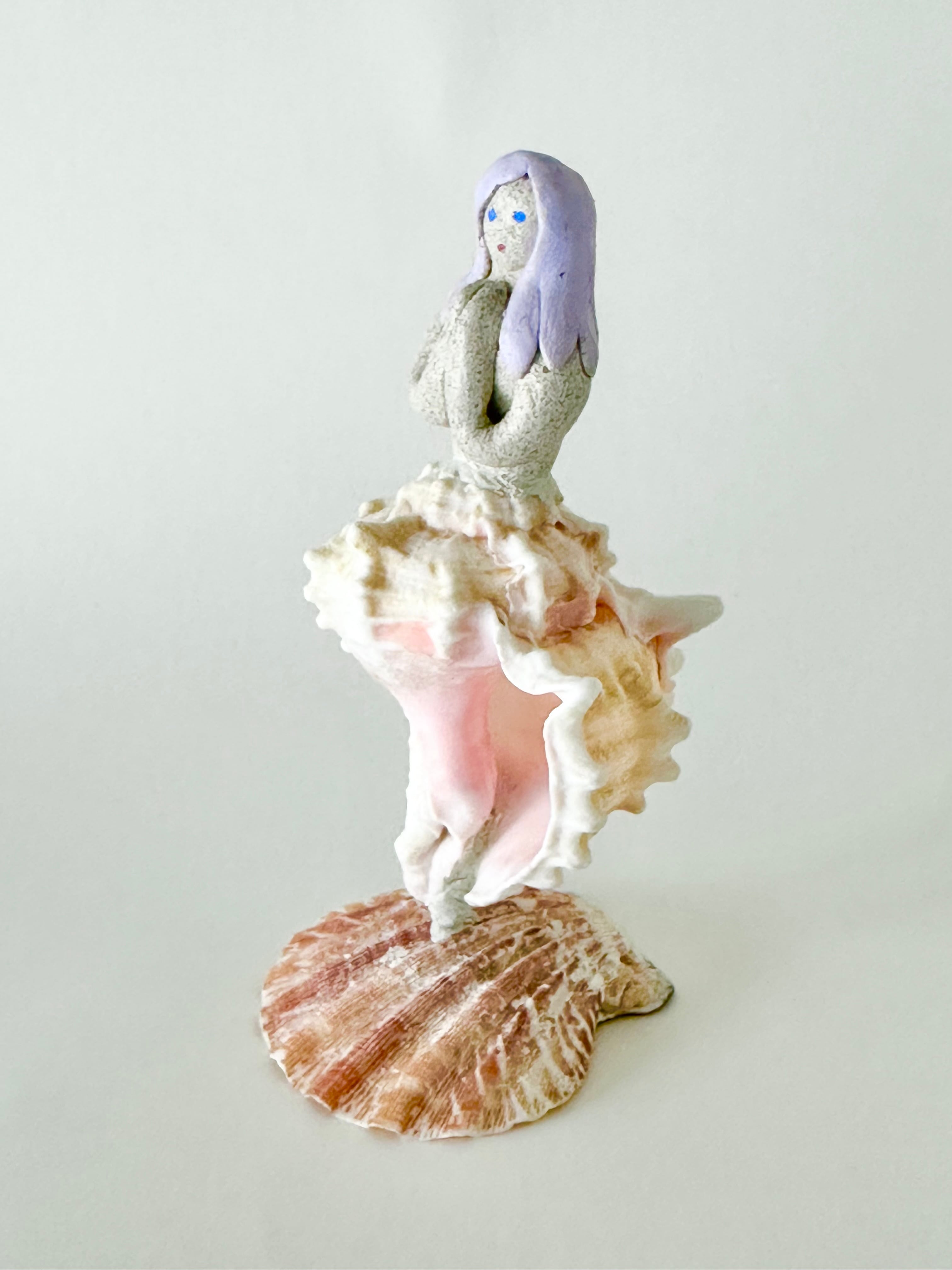 貝　貝殻(ドール専門) シェルドール(テングガイ) | 貝殻こけし舎