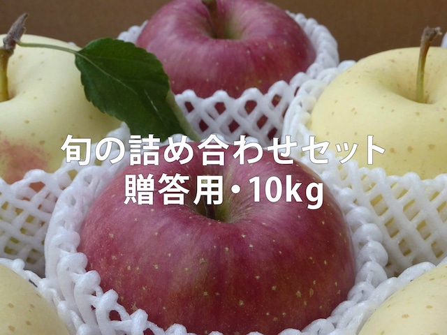 【10kg】旬のりんご詰め合わせギフトセット