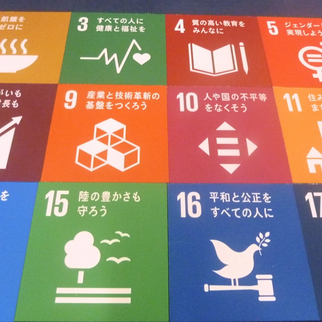 コンセプト　SDGsの普及　目標を達成するためのアイテム　SDGsタイルカーペット(17枚セッ)」日本語版