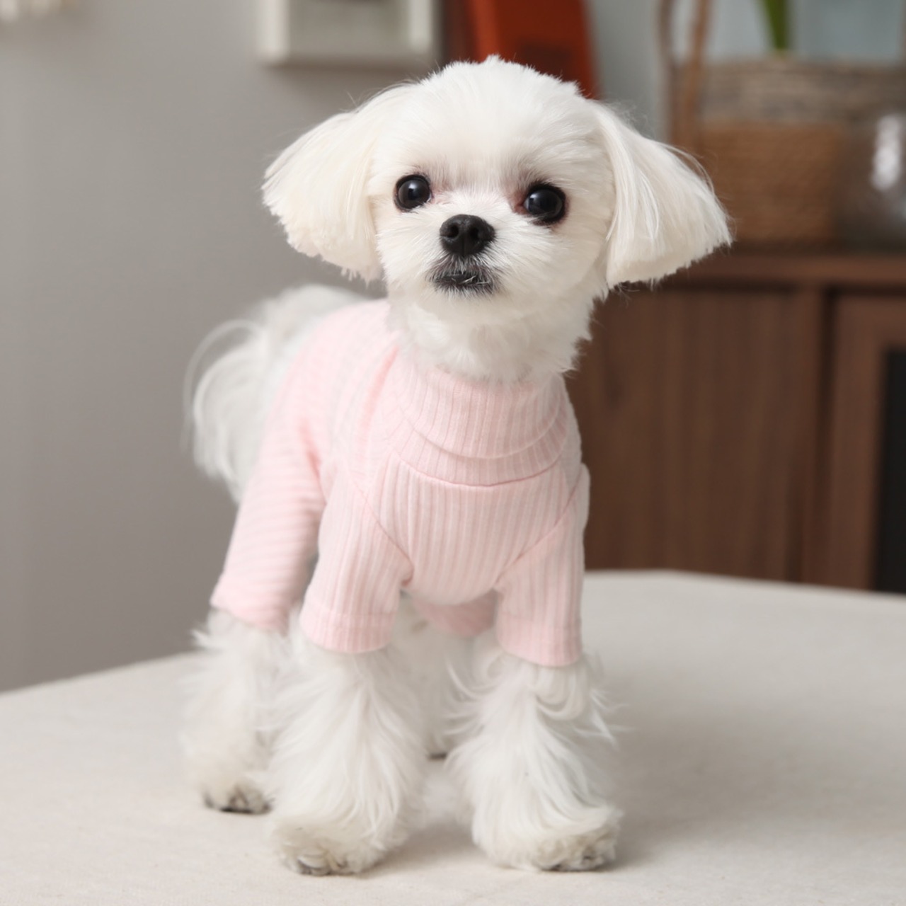 予約 【cocochien】ゴルジオールインワン   (ピンク)