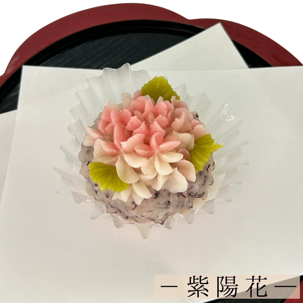 おはぎ様専用 ターミナリアファースト360粒65袋 専用！ターミナ