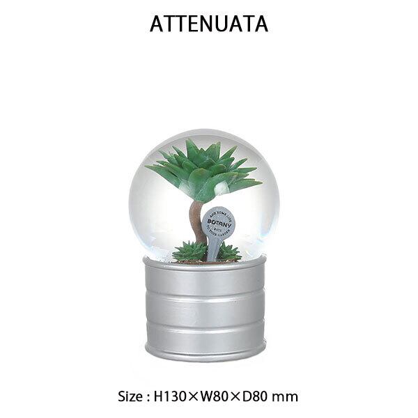 PLANTS WATER GLOBE Mサイズ 2種類 プランツ ウォーター グローブ