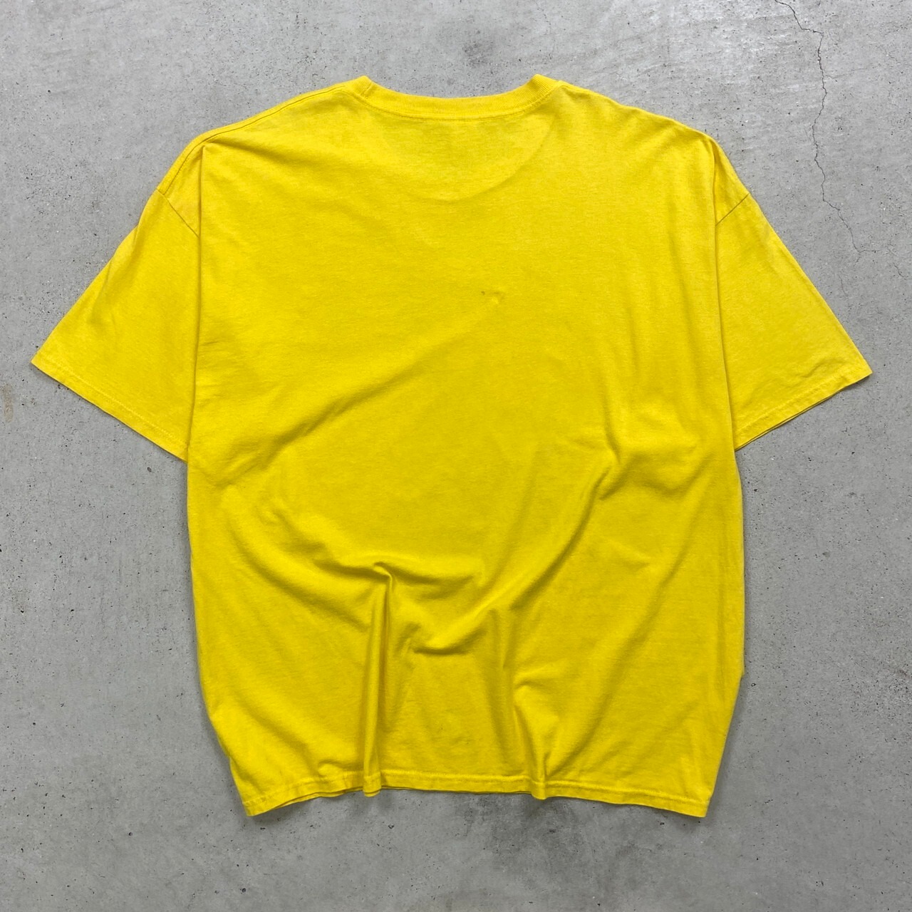 00年代 ROSA PARKS ローザ・パークス 偉人 メッセージプリントTシャツ 