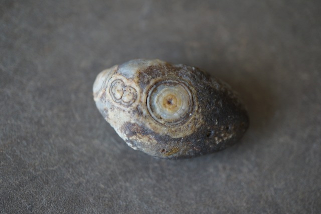 ゴビアゲート Gobi Agate 1313