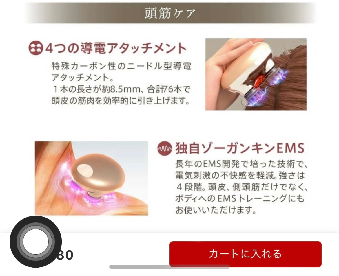 ゾウガンキンスカルプ | SUISOKIYORA