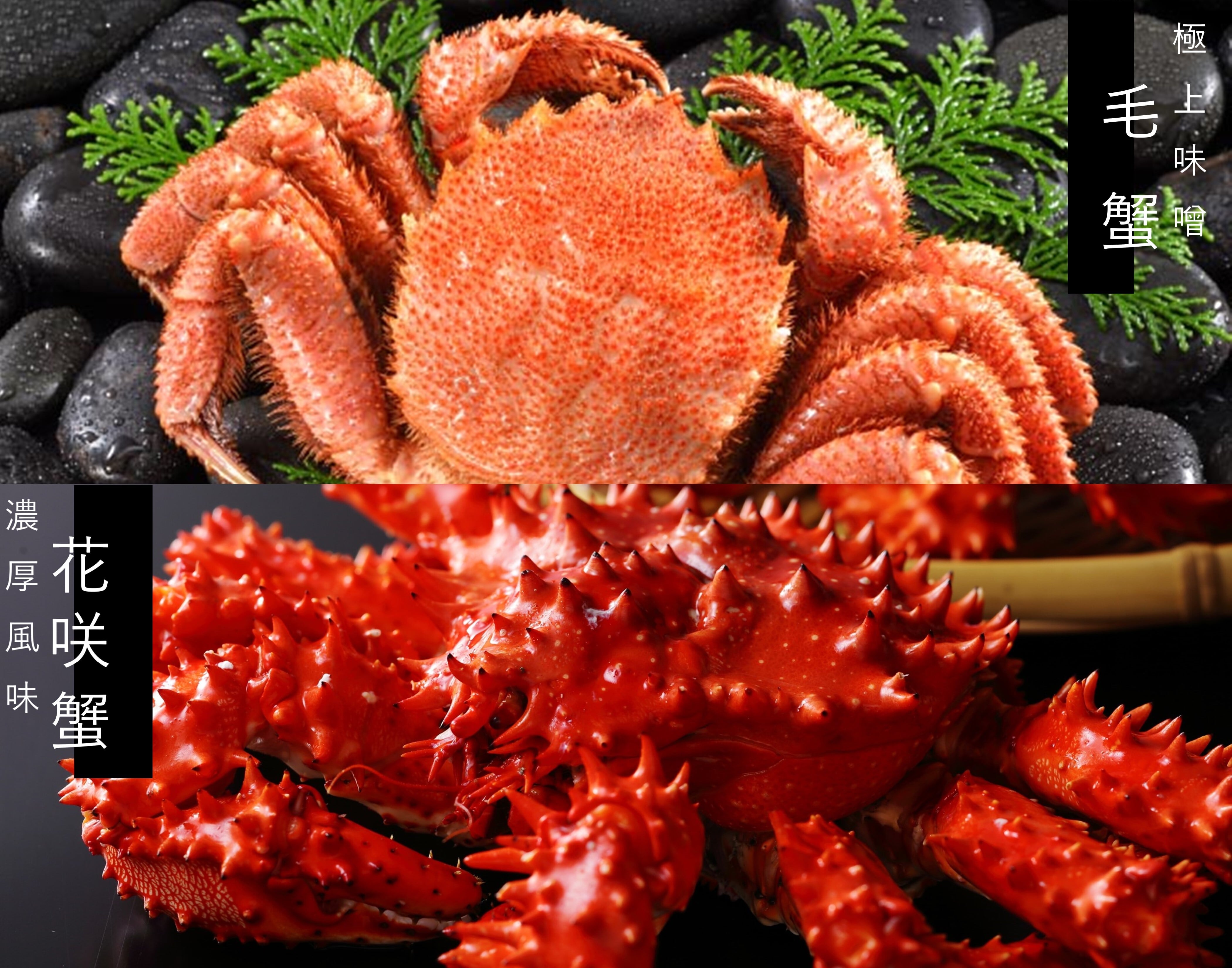 訳あり！　花咲がに　姿　8尾入れ　5kg 冷凍　ロシア産　ボイル済み 訳あり！ 花咲がに 姿 8尾入れ 5kg 冷凍 ロシア産 ボイル済み 蟹