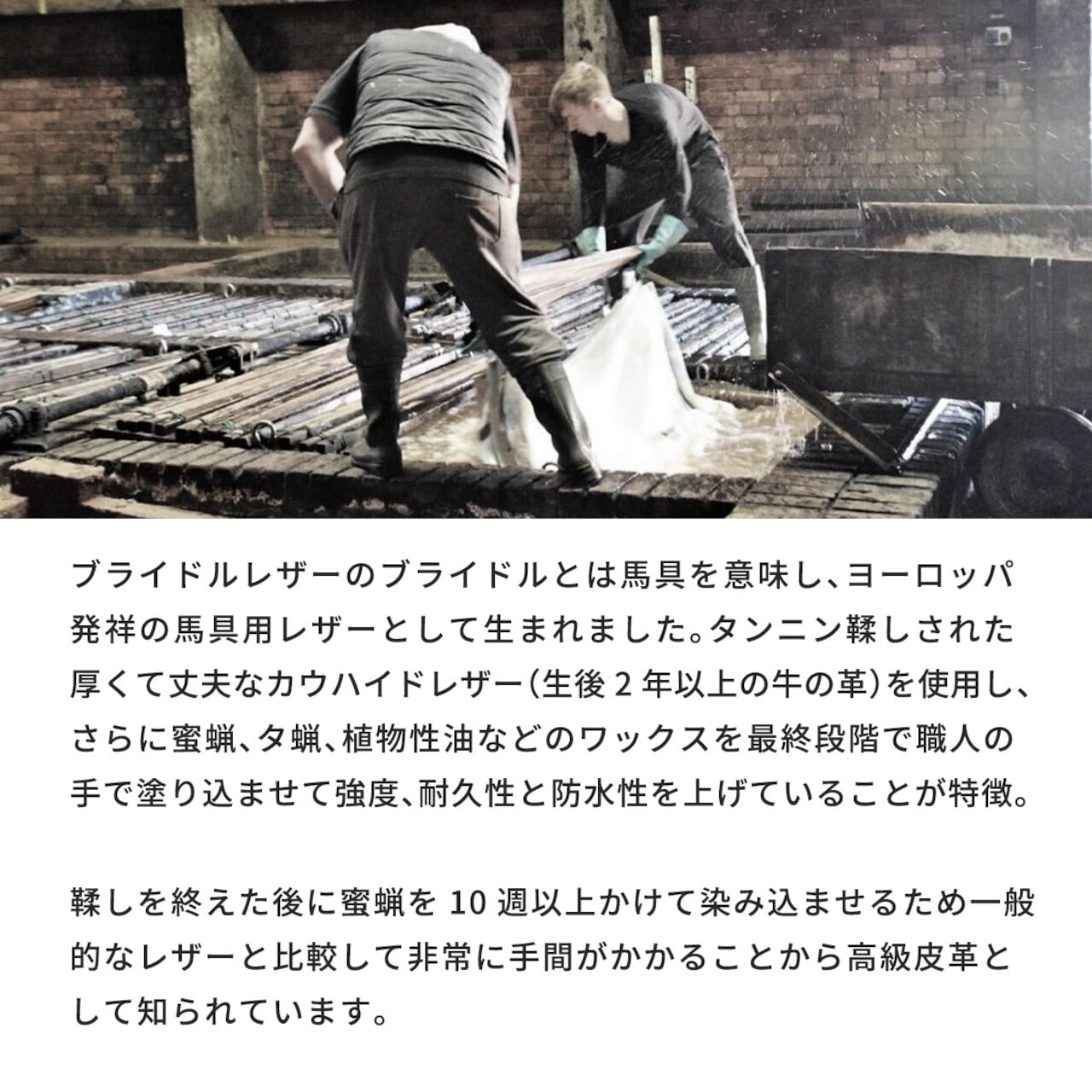三つ折りビルフォールド トライフォールド ブライドルレザー