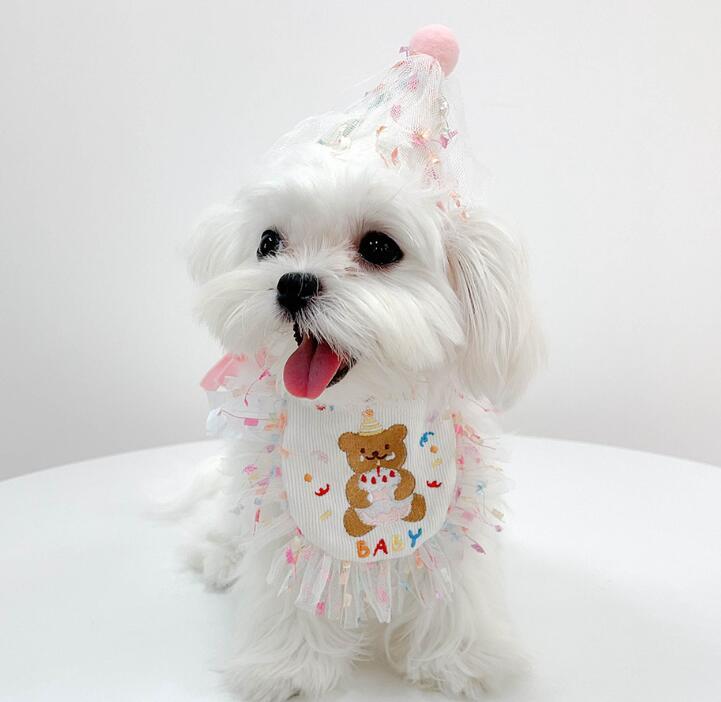 《予約》№2101587 くまさんワッペンバースデースタイ