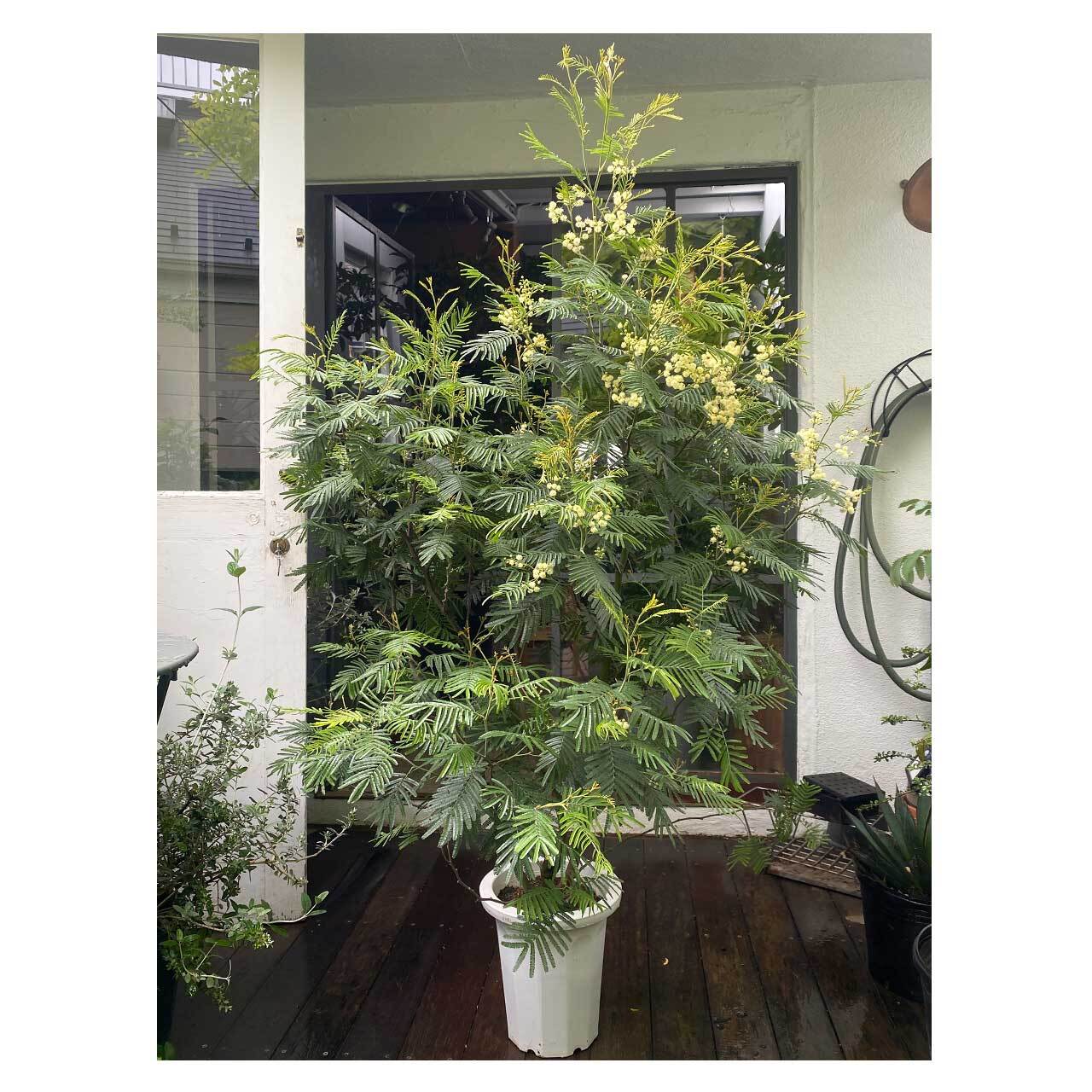 746b6411ebf5f565c2f61b23be0e7e