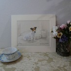 ヴィンテージ　犬のスケッチ絵 ジャックラッセルとドッグフード