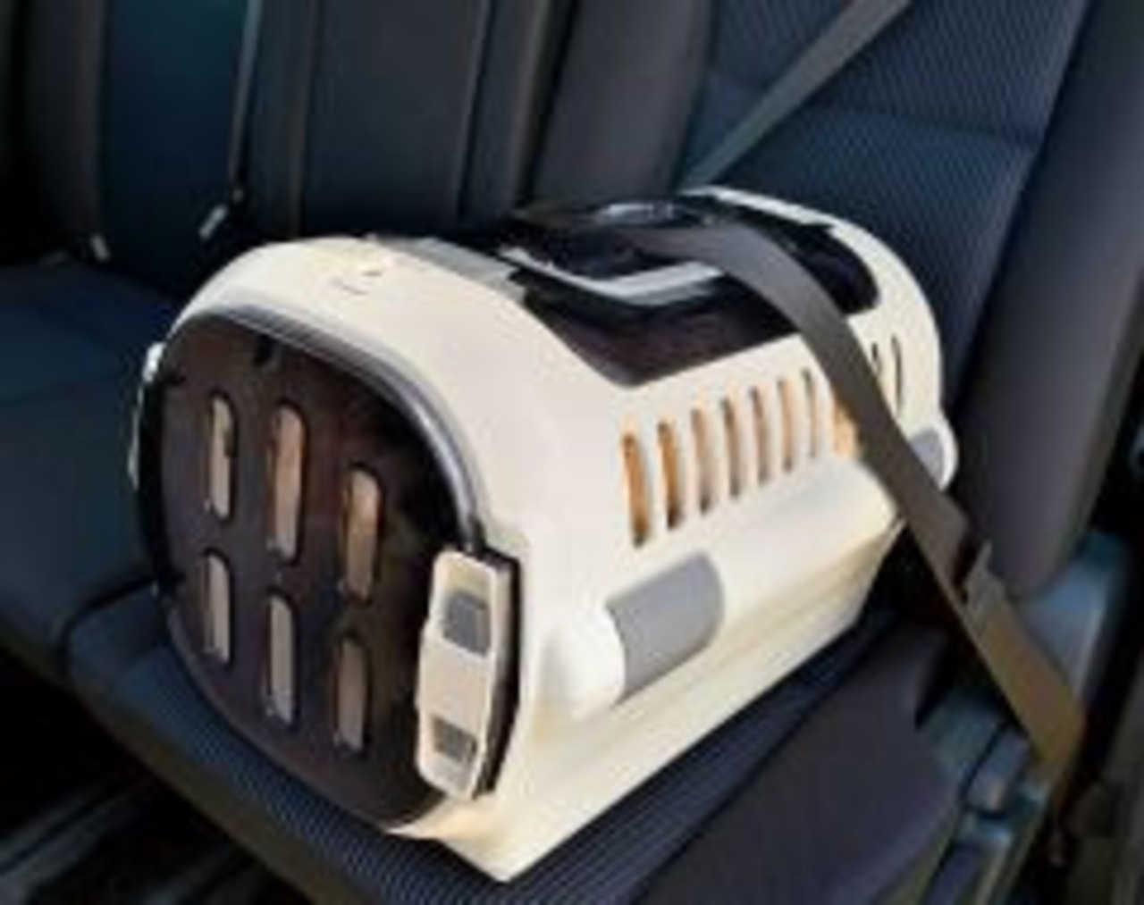 【車や電車移動の時はコレ！ダブルドアキャリー(Mサイズ)】上開きタイプ,ハードキャリー,スモークドアで安心！
