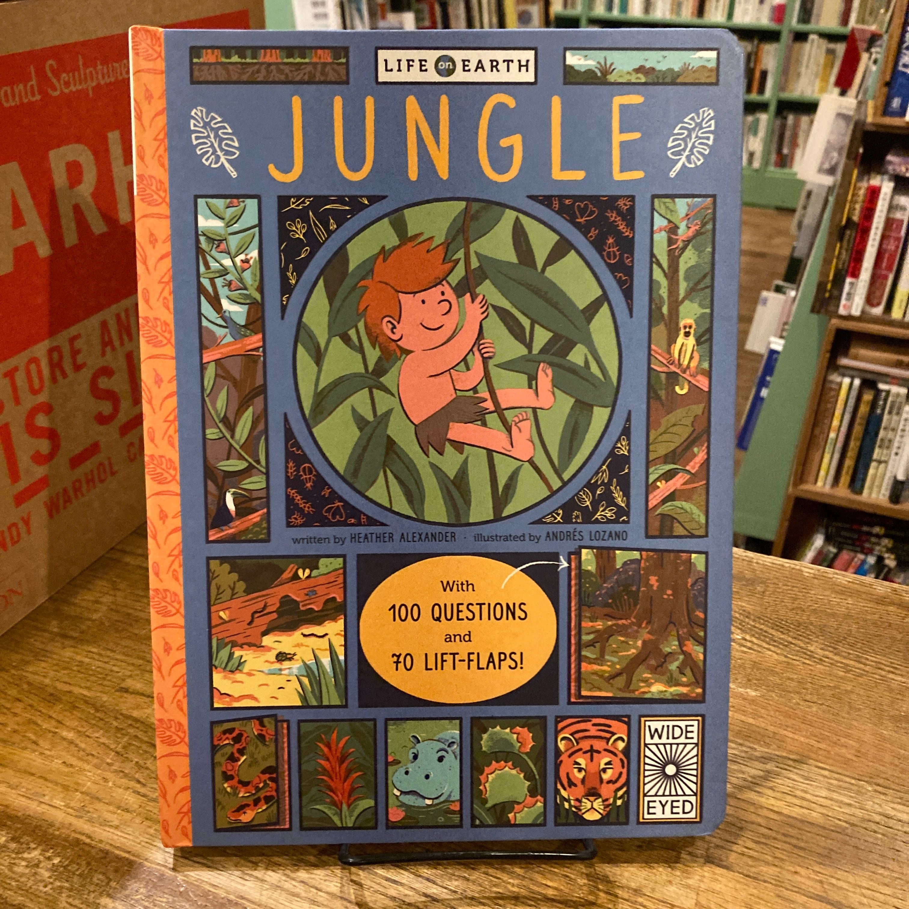 絵本・児童書 iolus 絵本・児童書 iolus 絵本 児童書表紙