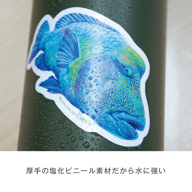 海の生きものステッカー（スポテッドマンダリン）