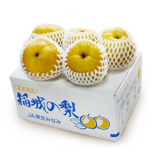 幻の梨「稲城」小玉 6個入