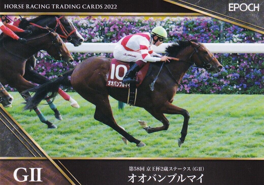 フジキセキ：第46回 朝日杯3歳ステークス(金文字仕様)「THE GRADE ONE