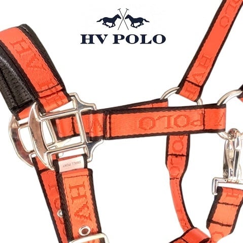 HV POLO キャンディーカラー ホルター 無口 ポニーサイズ 乗馬 馬術