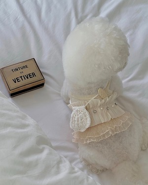 【seenii】SoonSu ops