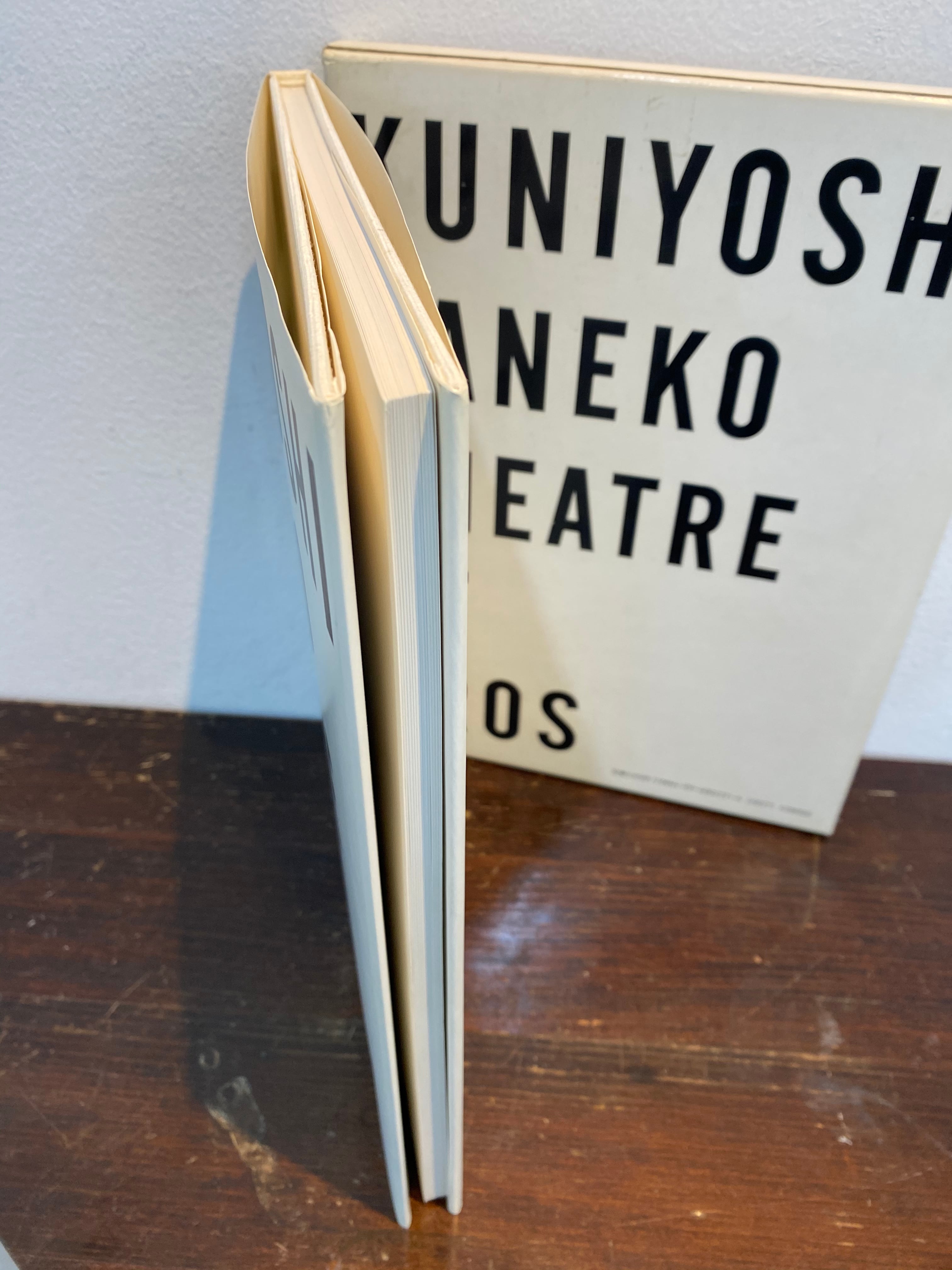 80's 金子國義エロスの劇場 | zbooks