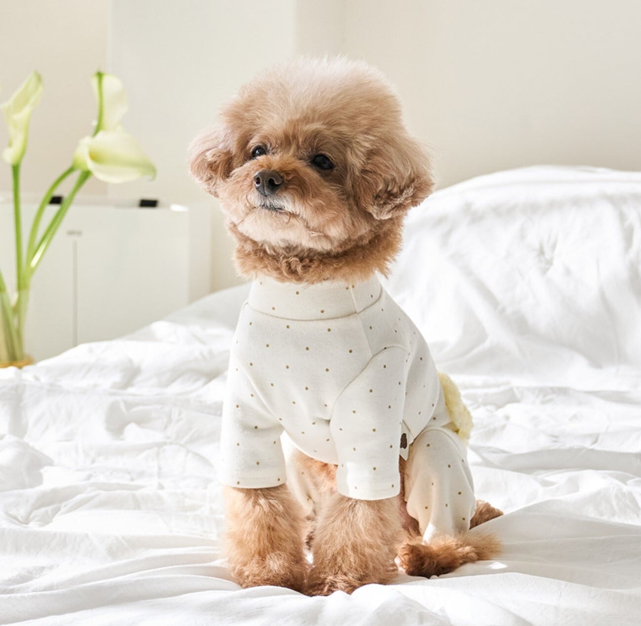 M/即納【eomuk】Dot Fur Pocket Allinone《Ivory》