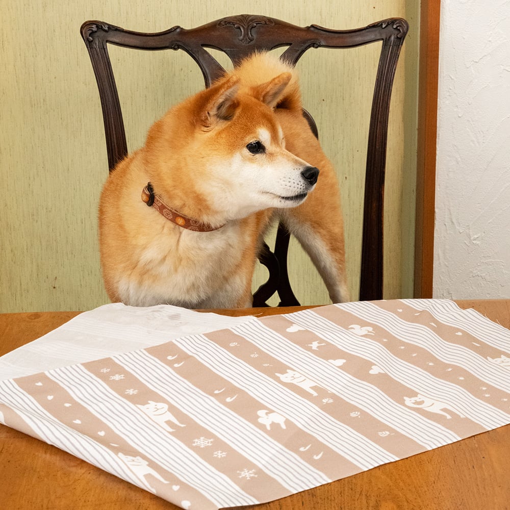 残りわずか】柴犬さんのはんなり手拭い '21Ver. | Shi-Ba