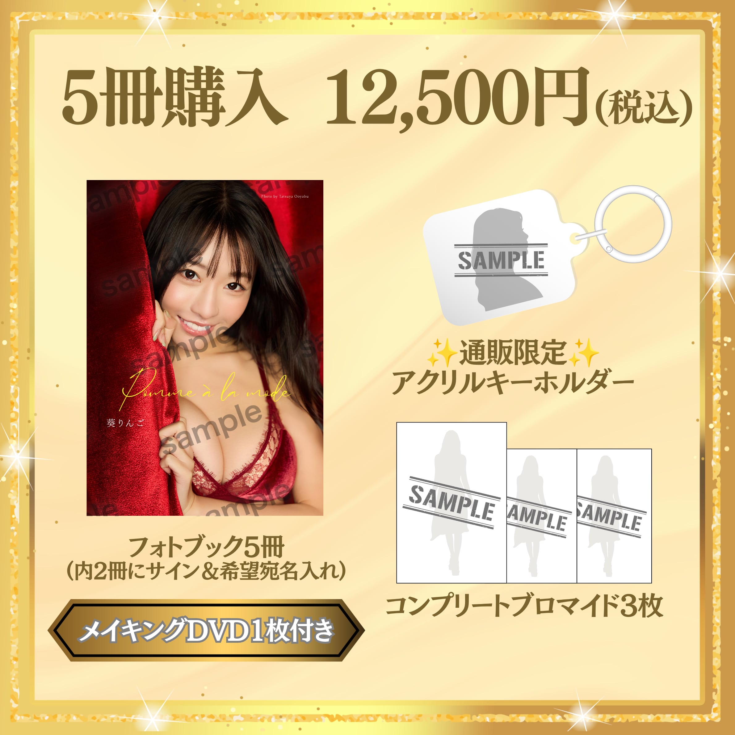 【フォトブック5冊】葵りんご 1st. フォトブック「Pomme à la mode」(特典付き) 【AIPB-0117】