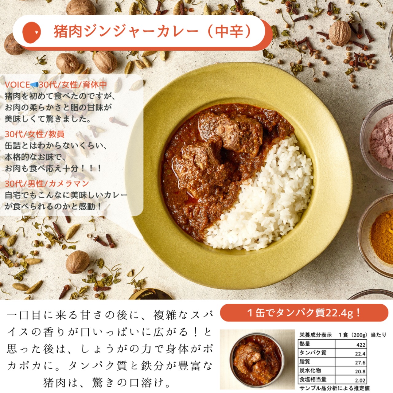 新品未開封 キリン エレキソルト スプーン & バターチキンカレー セット 新品未開封 キリン エレキソルト スプーン & バターチキンカレー