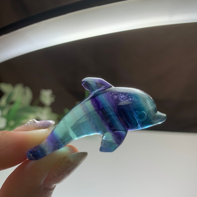 4.海のアニマル♪♪フローライトイルカ☆