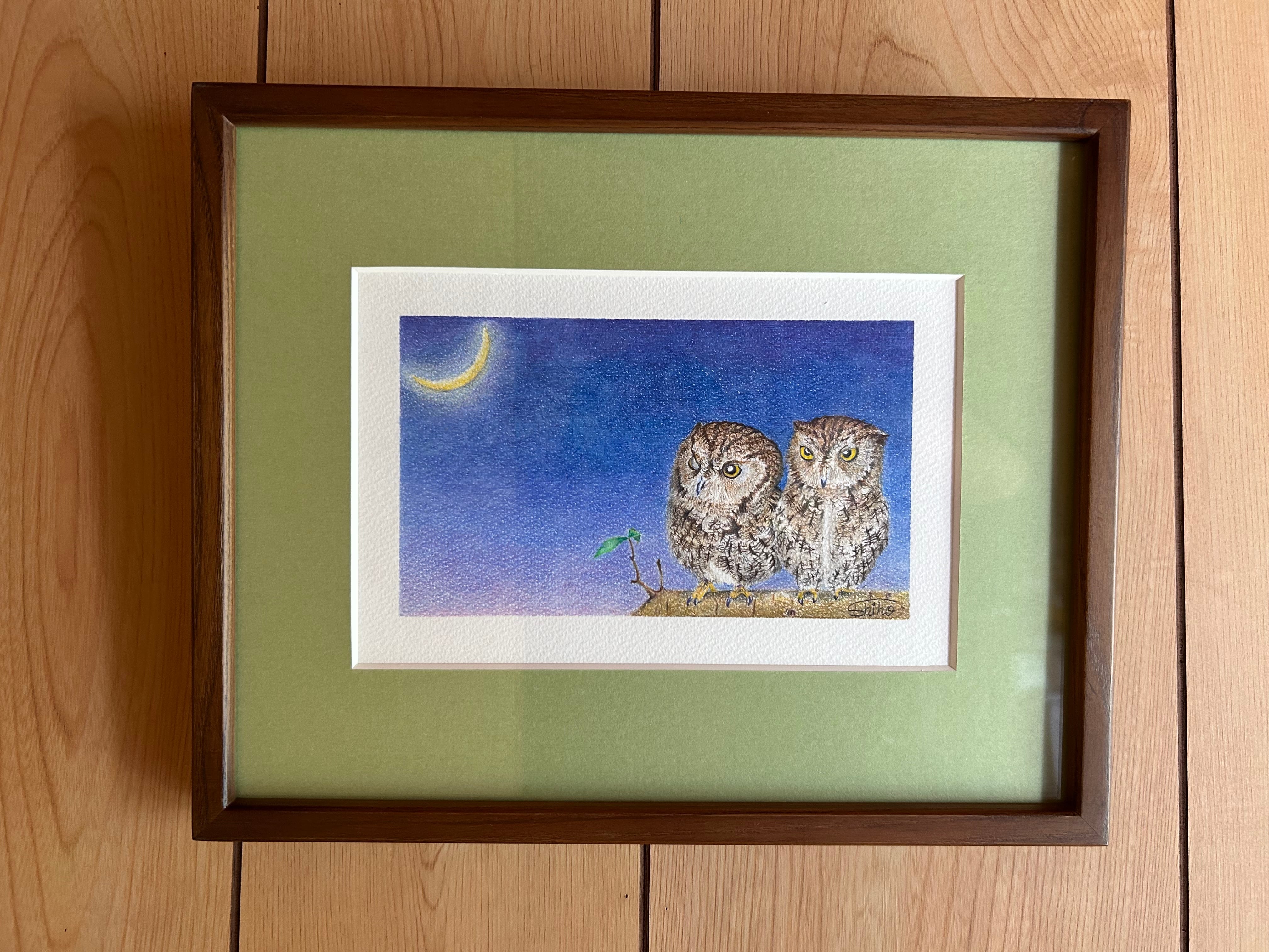 博物画「クラゲ」 | PAY ID