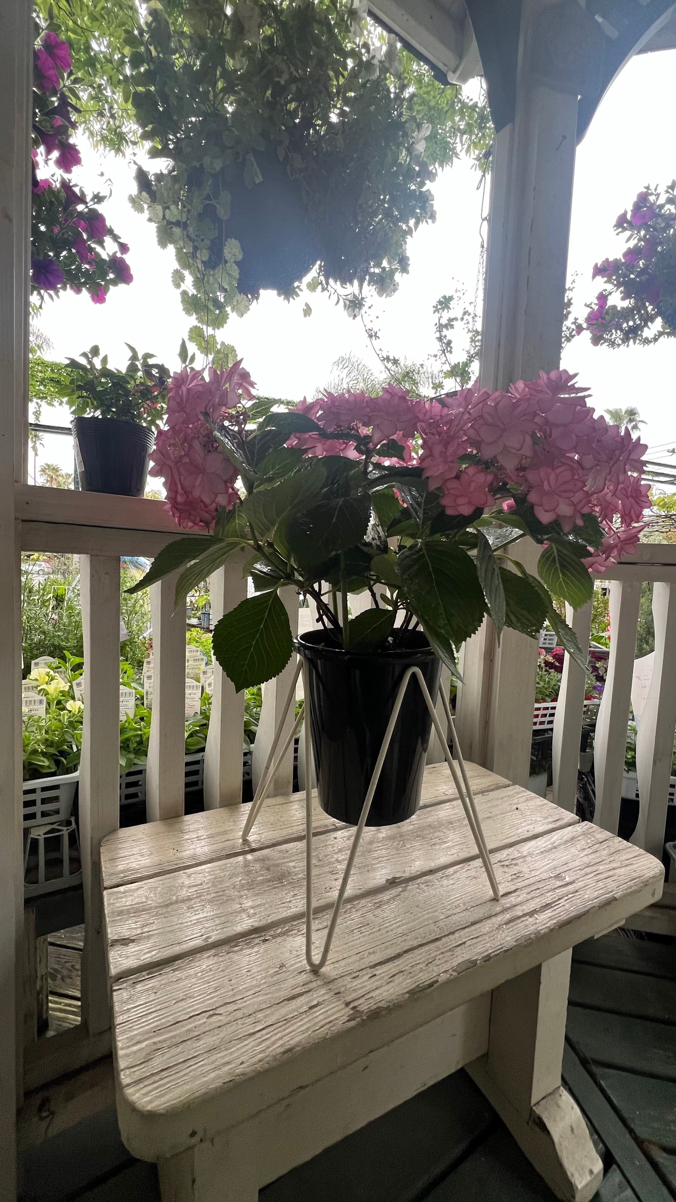 ◇MSS-8 マジックスクエアスタンド | bellsmoreのひとはこ。