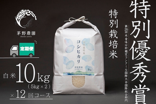 【R7年産米予約】【定期便 10kg(5kg×2袋入) 12回コース 一括支払で送料がお得】茅野農園 特別栽培米 コシヒカリ 10kg(5kg×2袋入) 減農薬 化学肥料(窒素成分)不使用 【8月一杯限定商品】