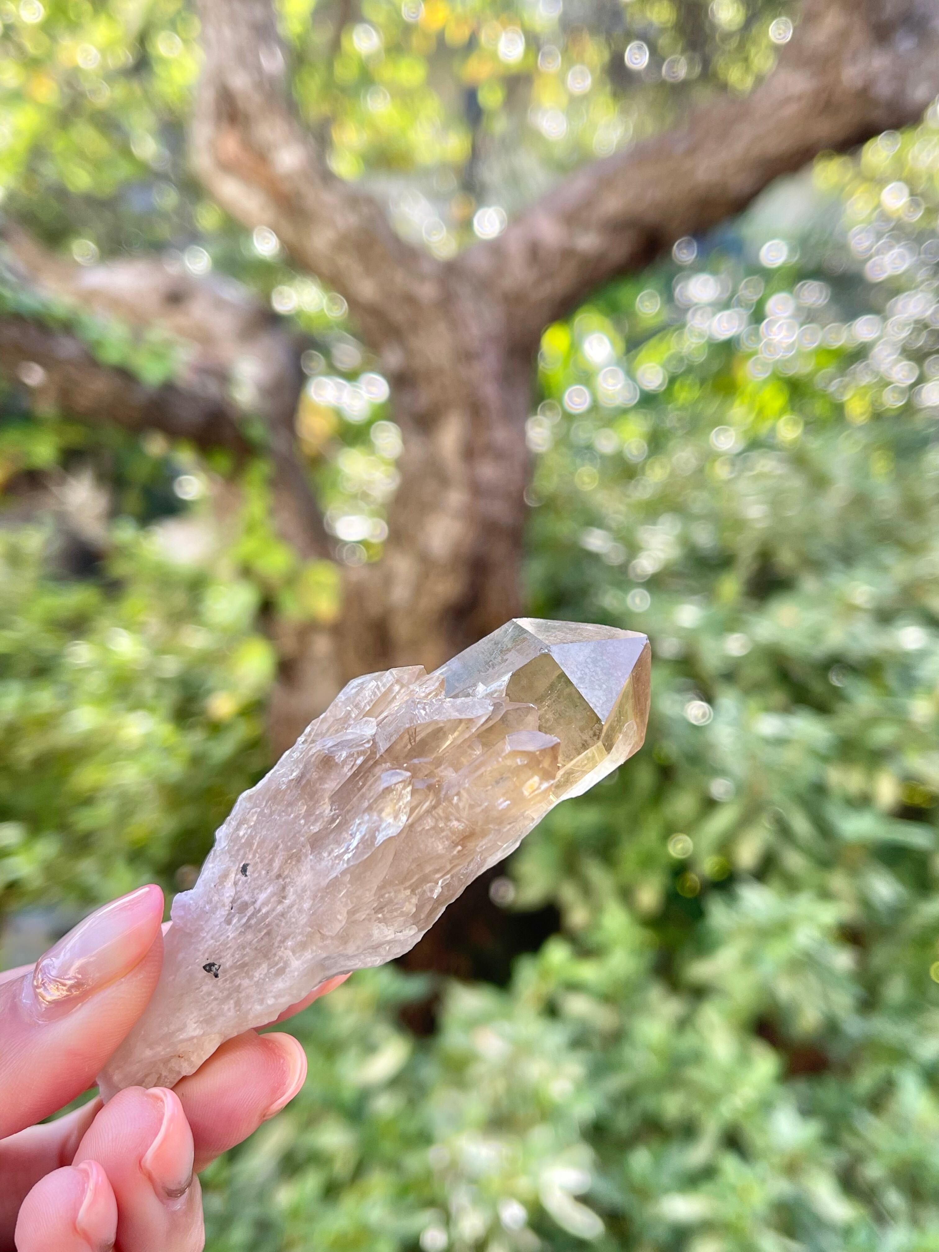 コンゴ産　高品質クンダリーニクォーツ