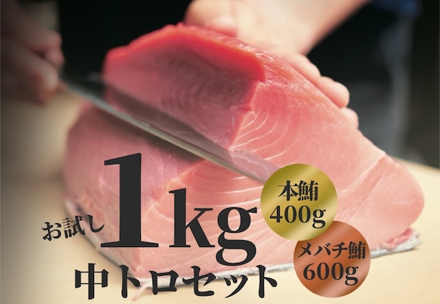 送料無料！【中トロセット：　 本マグロ中トロ400g・メバチマグロ中トロ600g】刺身・丼ぶり・握り・炙っても美味しい！おすすめセットです！