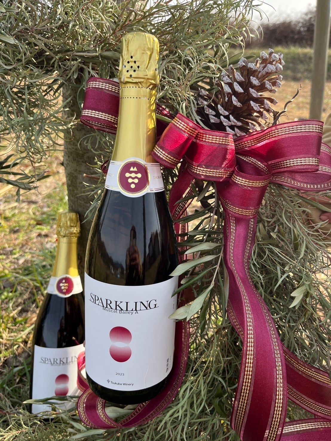 2023 SPARKLING Muscat Bailey A(スパークリング マスカットベーリーA