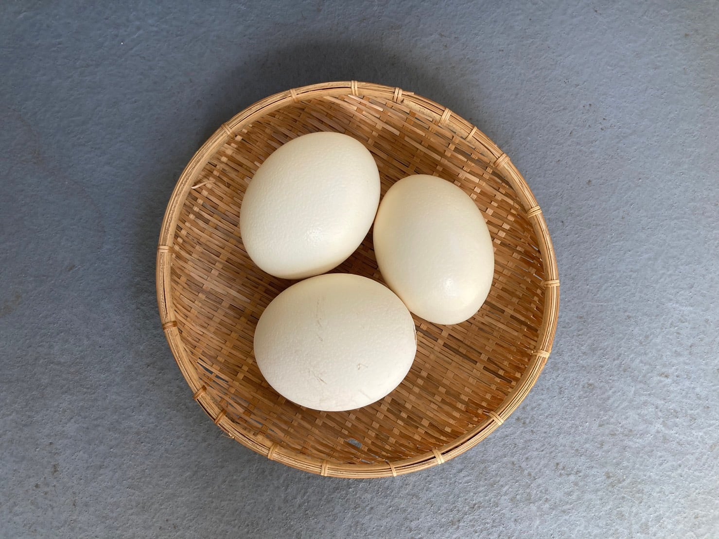 ダチョウの卵の殻 | DAUCHO WILD KITCHEN powered by BASE