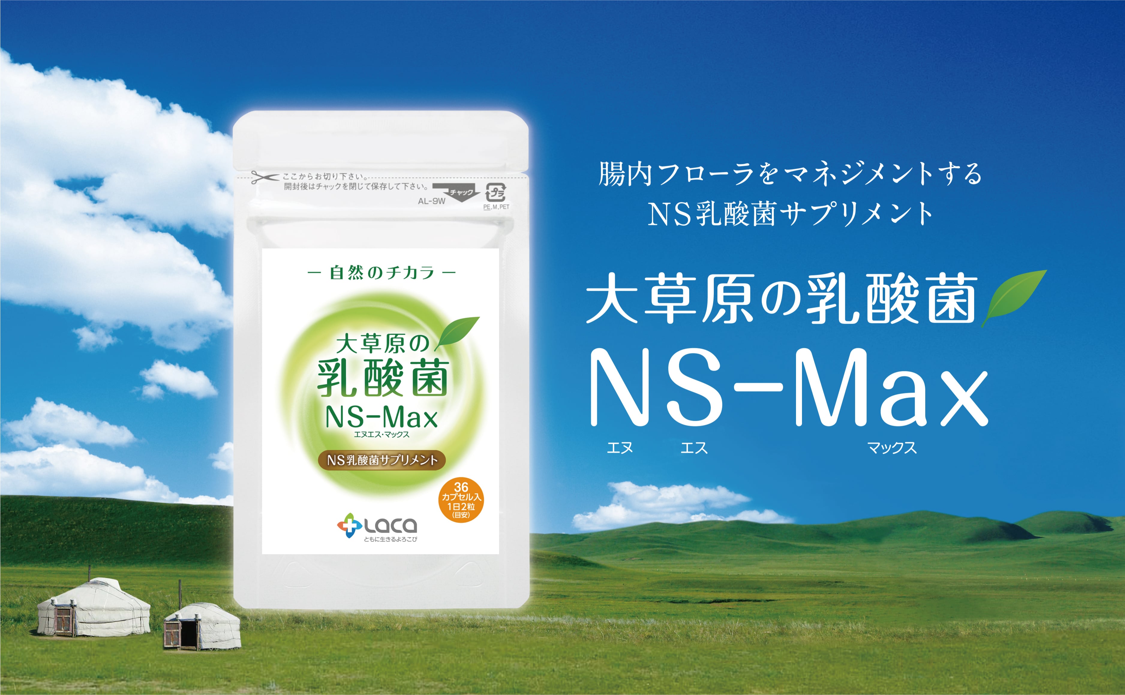NS乳酸菌 アルタイのNS乳酸菌「新NS-Dx」 : エスエーアイ アイストア