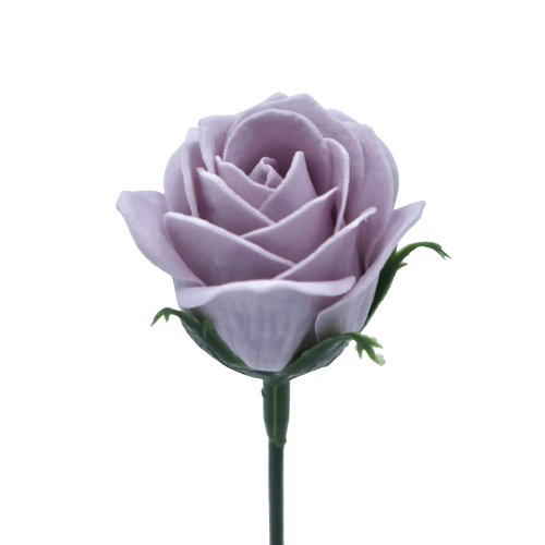 ジャナバラMJ-DP1 ライトラベンダー (15輪入りor25輪入り)