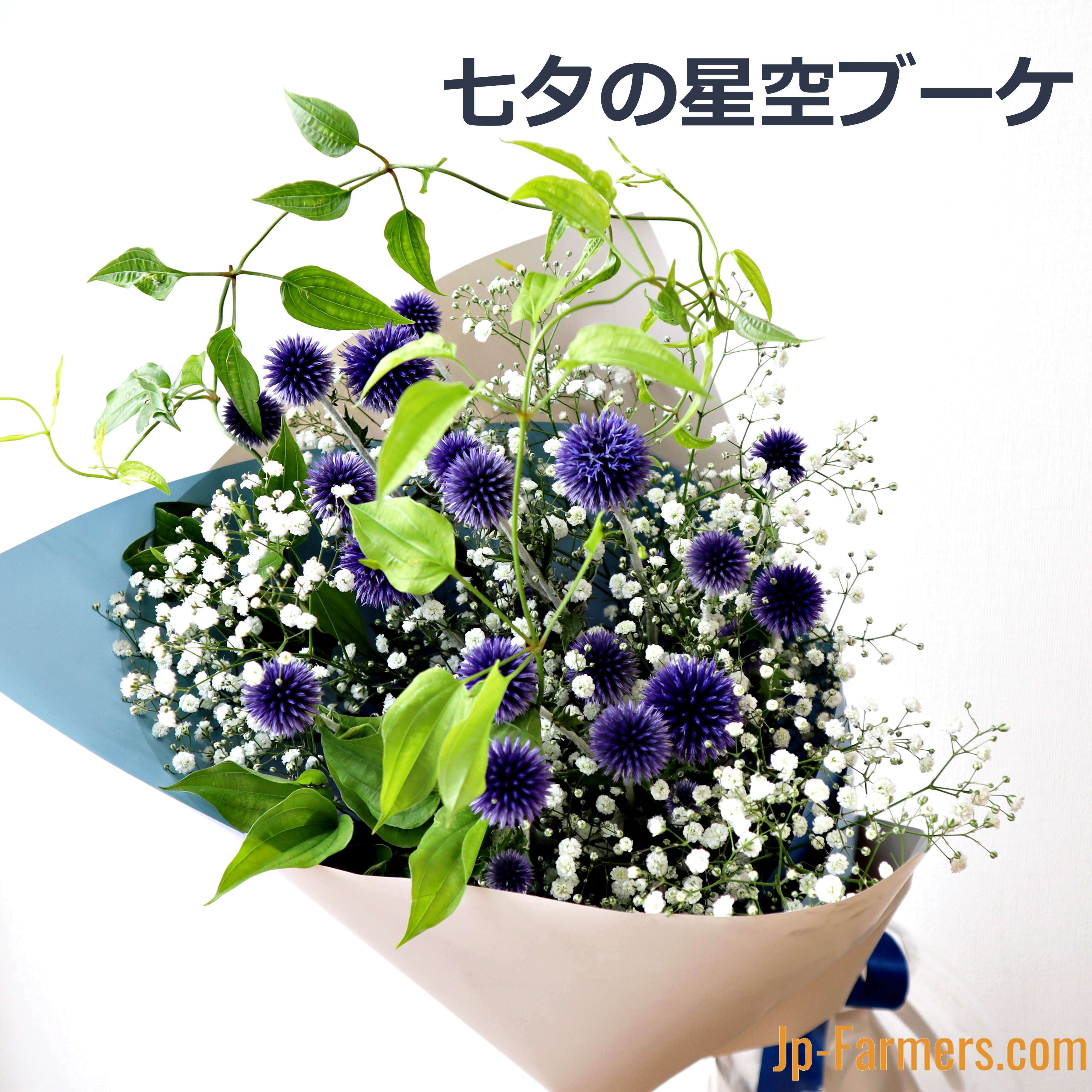 生花かすみ草 スターマイン５色１束 | bumblebeebight.ca