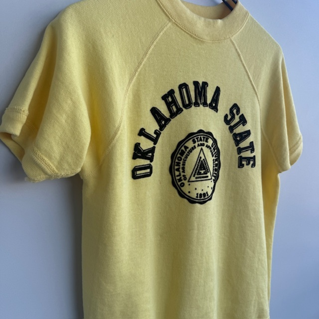 60s〜 半袖ヴィンテージスウェット フロッキープリント NOS 画像2