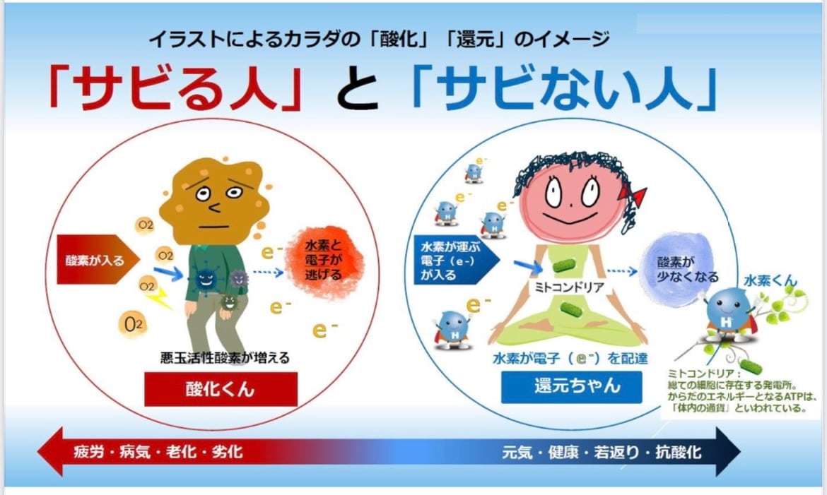 トリプルH ミネラル電子水（ホワイト量子エネルギー転写） | PAY ID