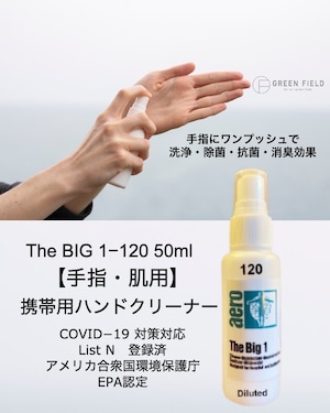 ノンアルコール除菌洗浄剤 [手指・肌用] ビッグワン 120 洗浄・除菌スプレー 50ml ✕ 10本セット 感染症対策対応（送料無料）