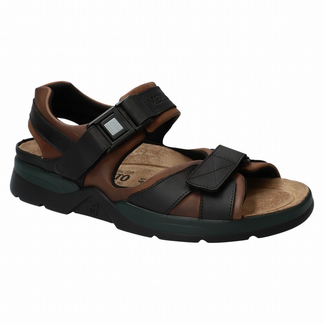 SHARK FIT 1372366 DARK BROWN