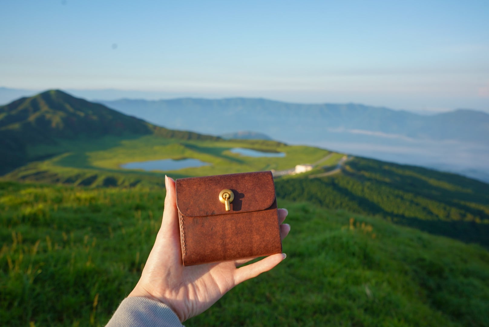 旅するネコ